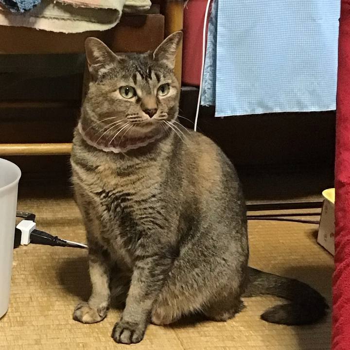 D1a5e227 2956 446b b3e1 c9be57d529b9 1715338135067