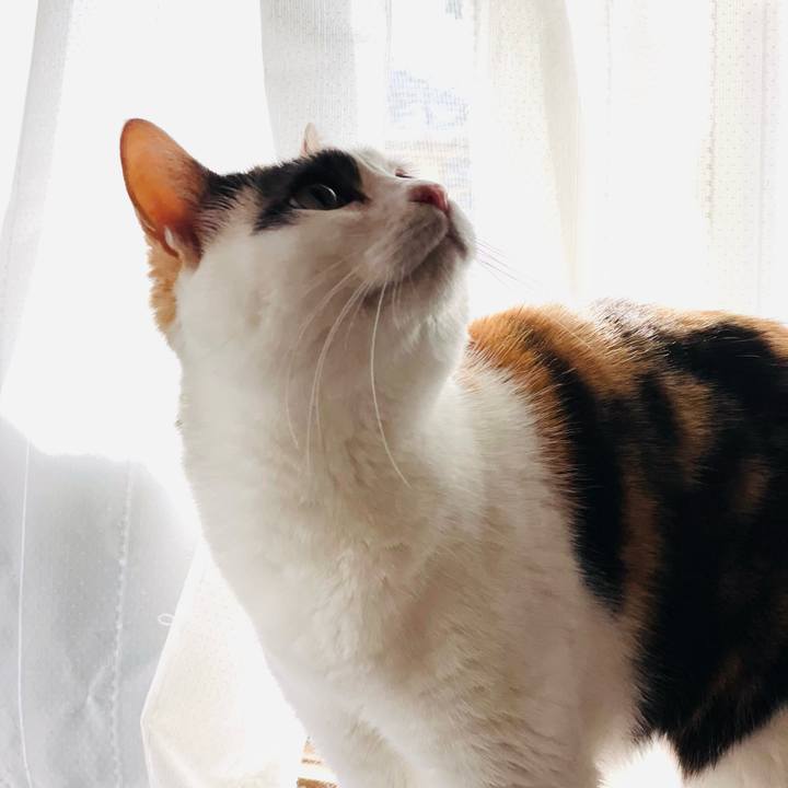 D1a61c9b 5e58 4a36 a04e 073dc7cc2dfd 1649902624935