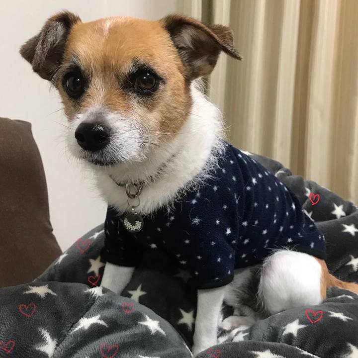 D1a61e3d 581f 4a41 bbe6 1de4e3387789 1518564537537