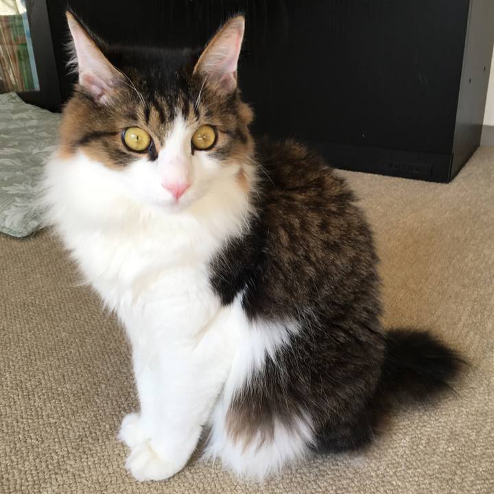 D1a674fa a4d2 41e5 82d6 278710fefb2b 1513577197171