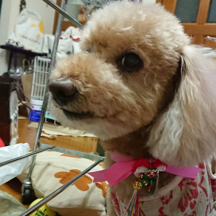 D1a67ce2 5be1 4f19 85b3 4af4fd8bc328 1562415483632