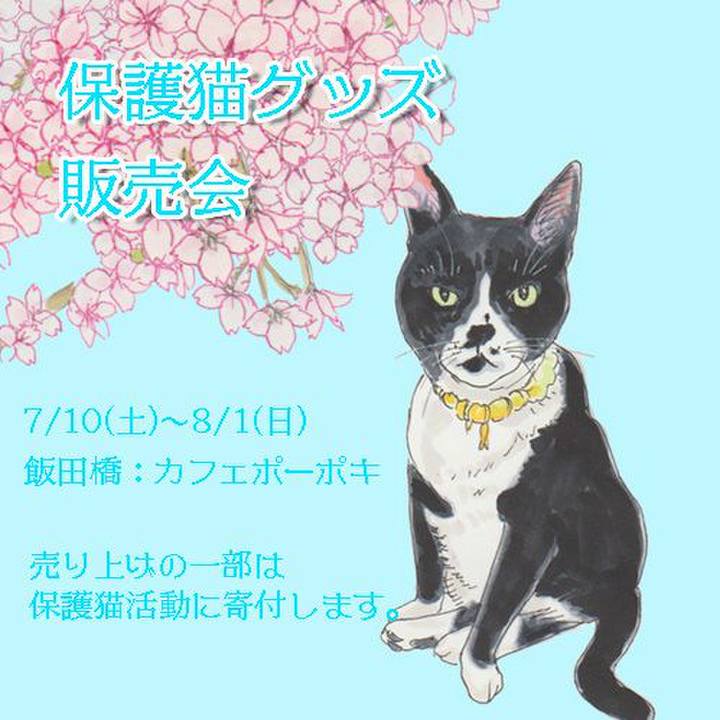 D1a69e89 729b 4d17 95d0 deb52059c493 1625827225584