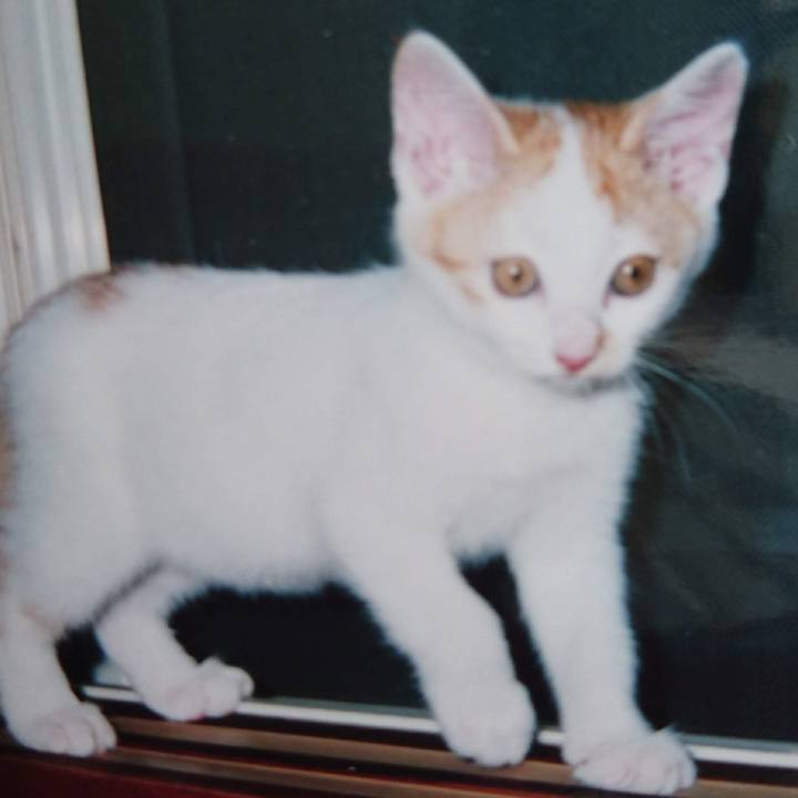 D1a6a5b8 6839 4928 81a0 9c55f8cc763f 1651707841135