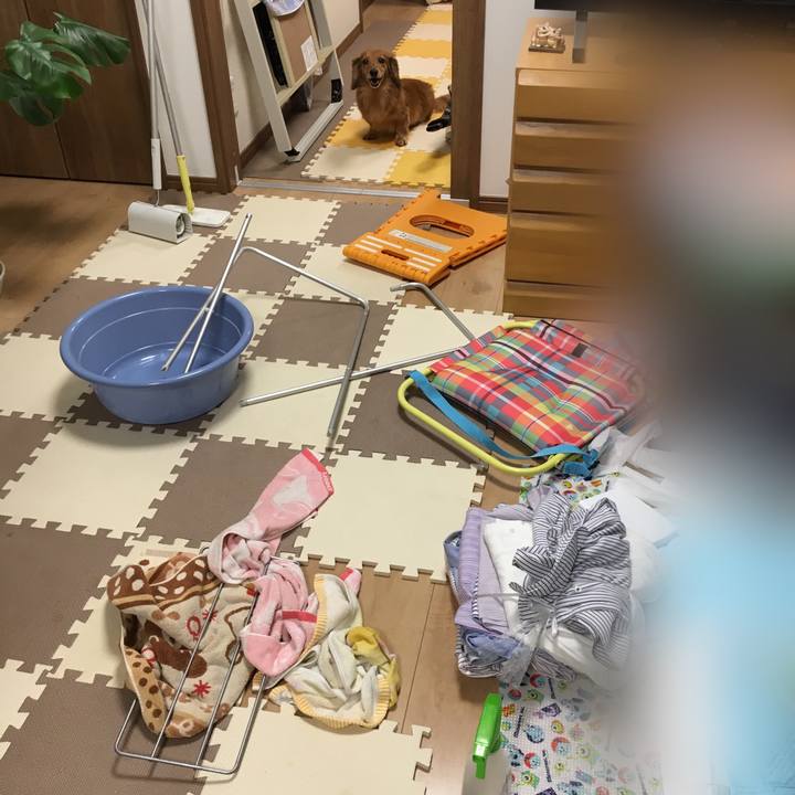 D1a6b55c 7813 42cb 8863 39da014162ce 1574171168738