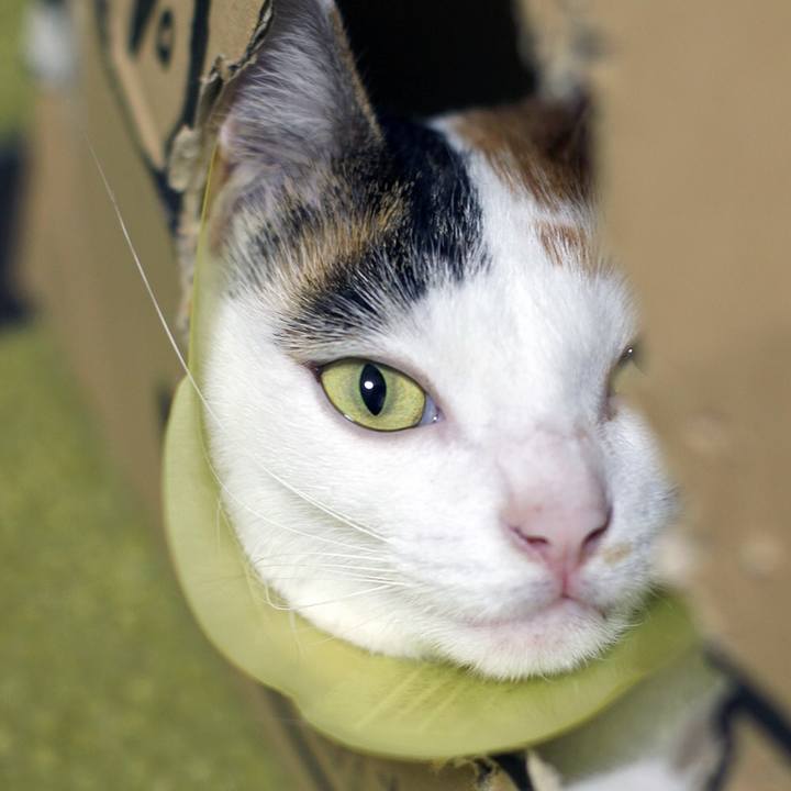 D1a6b8a5 c54f 4273 b318 352fd69f2fd8 1595891594115