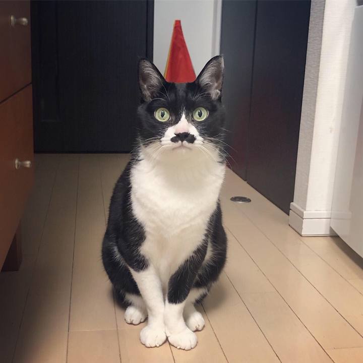 D1a6dd40 6362 4fd8 b5e1 8ef22c390a91 1608902085598