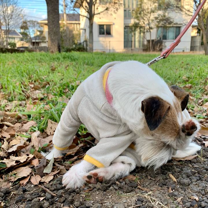 D1a6e03d 9752 41f9 803d b5baa73b373a 1672657500624