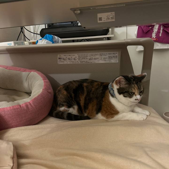 D1a6f53e 3e07 4fd3 b030 529d08be1f34 1762874857878