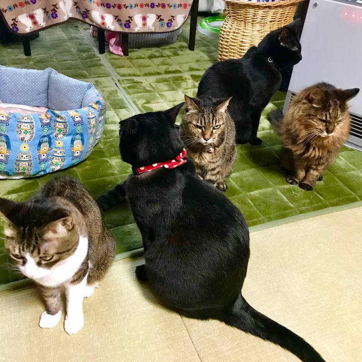 D1a74a18 c3f1 47ab b317 dc519b30e658 1516081156626