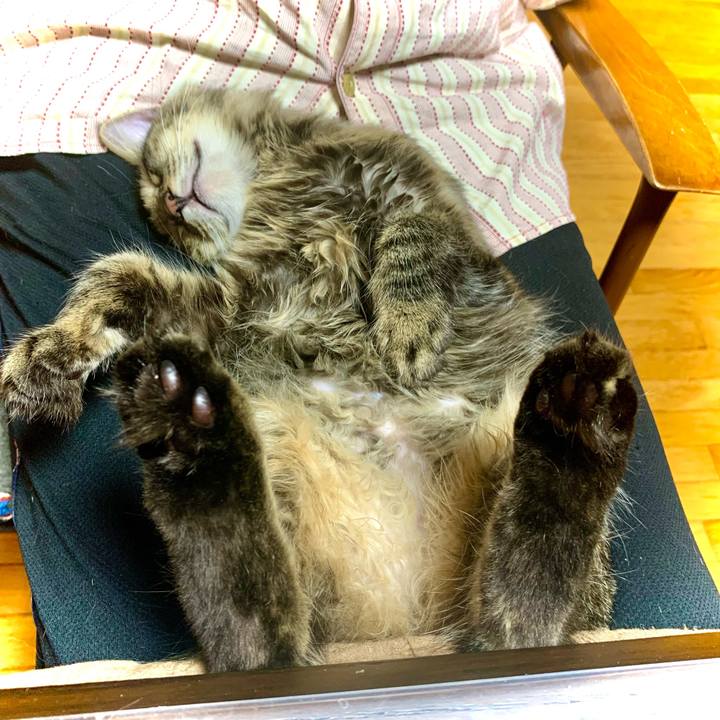 D1a753fc 3fdf 4431 89c2 0b4b5326abd5 1651576913089