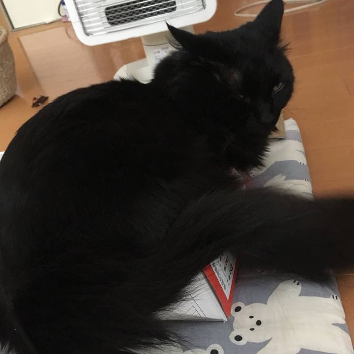 D1a76635 e123 4838 8dde 1db3b59907fc 1519911644334