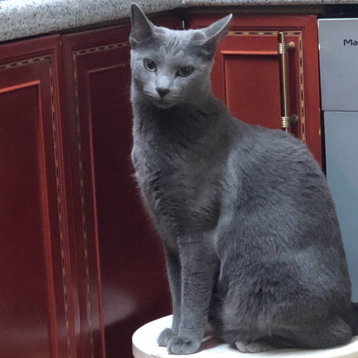 D1a770d3 b69f 4845 9200 f3be889632d4 1566479362450