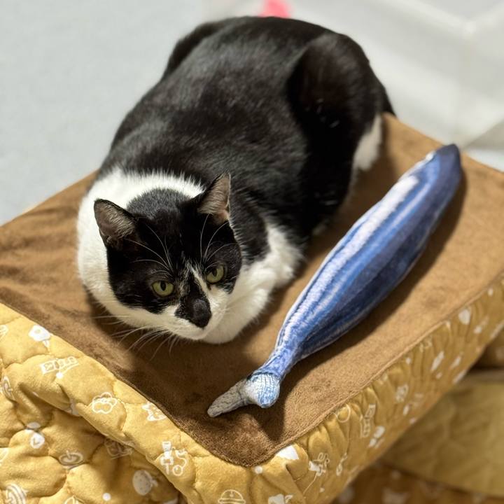 D1a789b6 2d51 4e94 b5a1 a748f49ec259 1764814719210