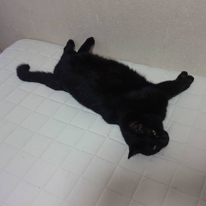 D1a789ca ea80 454b 9303 5fd6dcf5d7dc 1722393963673