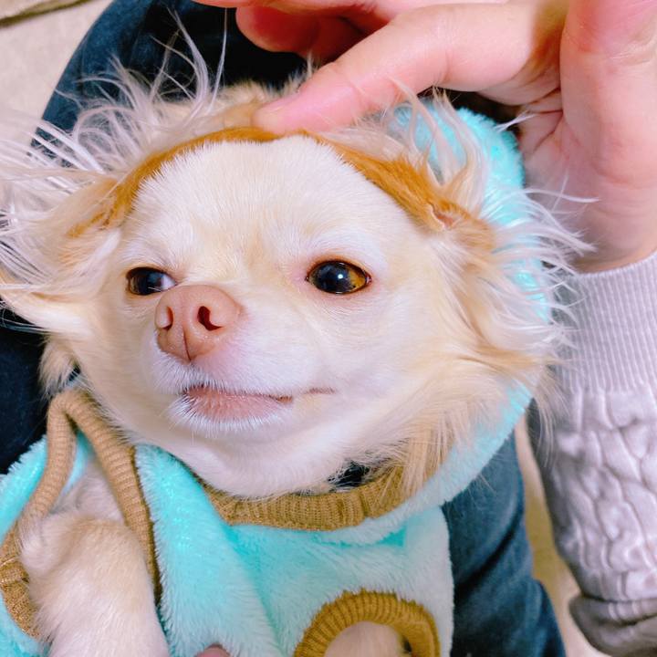 D1a78bde 467f 426c 93f6 bc7a0d70ea94 1638786921862