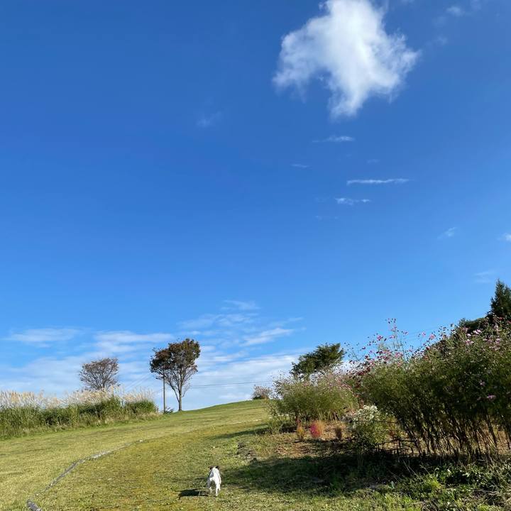 D1a7c080 a478 4cd3 9447 59f56a49b9f6 1632896447257