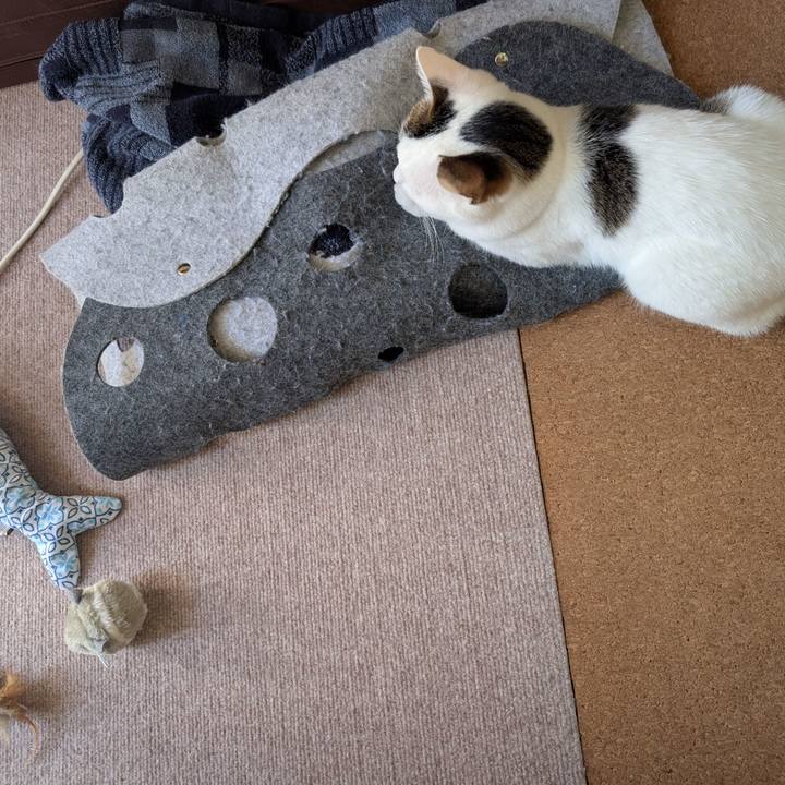 D1a81c50 f867 48ae 95ce dd96d72e011a 1757292205677