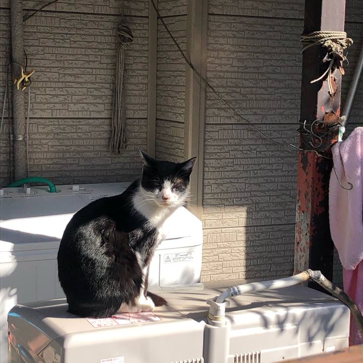 D1a82081 e45e 458c 847d 78756b0a1010 1583132779750