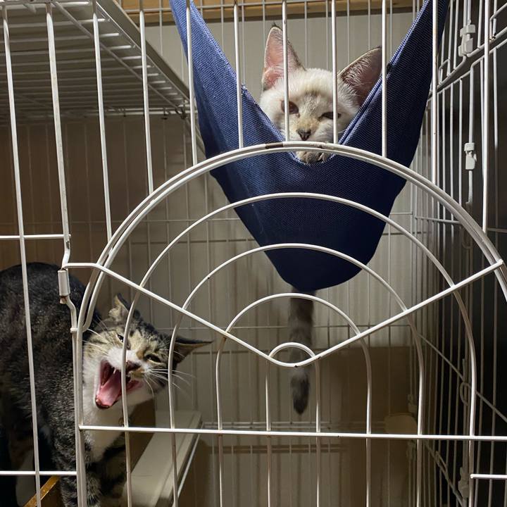 D1a827e4 b6fd 4bbc 9a98 46150878c1c6 1631265332989