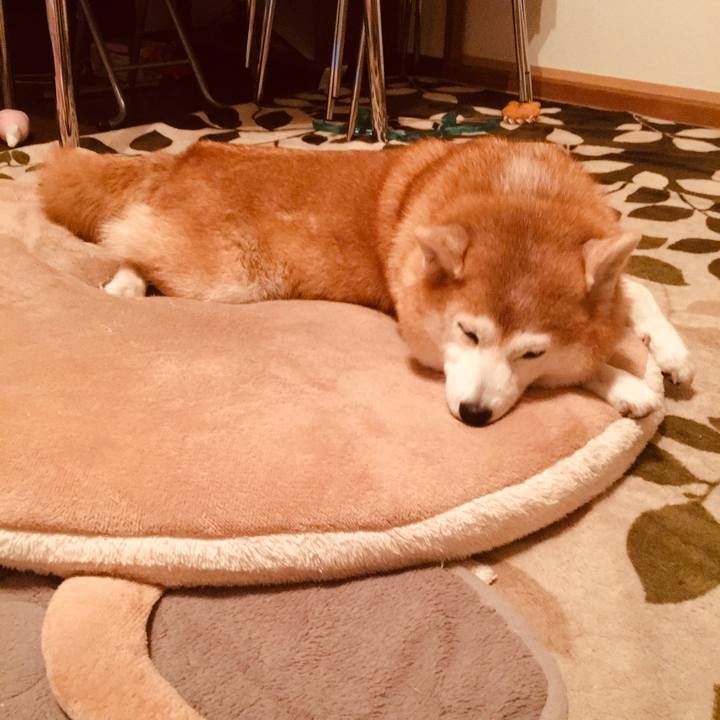 D1a83f34 374f 49d0 952a 5f7d833c3549 1549036838587