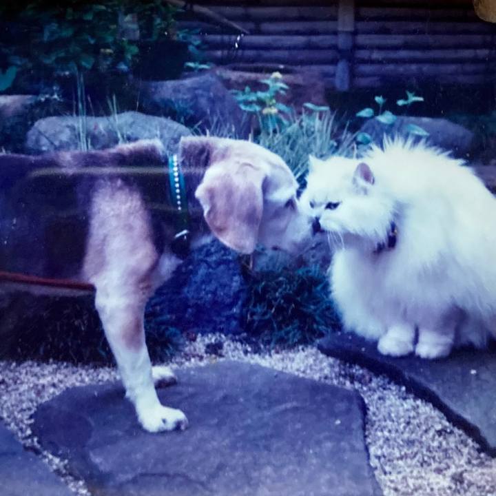 D1a8571a fc25 4f53 bb2f e8870b3a91c8 1653019742322