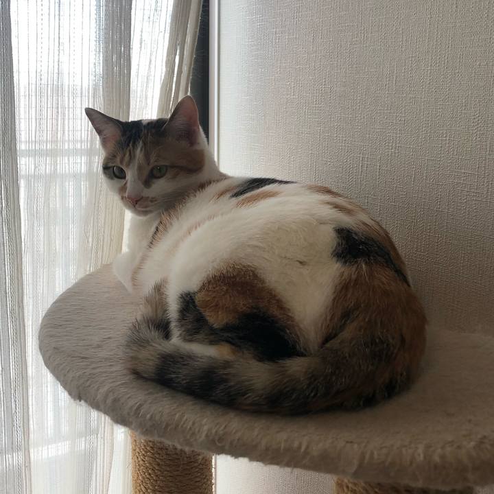 D1a89e9e 7b77 4de0 9a2c 96c41479e365 1584401500113