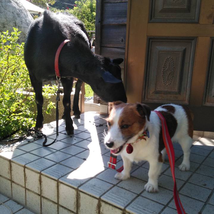 D1a8b6c5 c05d 4a8d 80a9 b6be9a0f691d 1534856182866