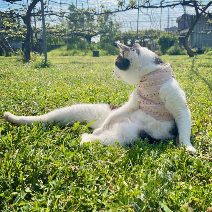 D1a8cbee b866 4754 836e df6f1fa43e52 1619849995897