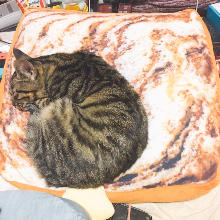 D1a8e410 4df9 4d58 b54f 4006577eb2a3 1542022172335