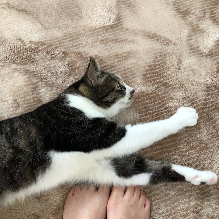 D1a91628 905b 4084 b80a c459de5c056a 1532844936821