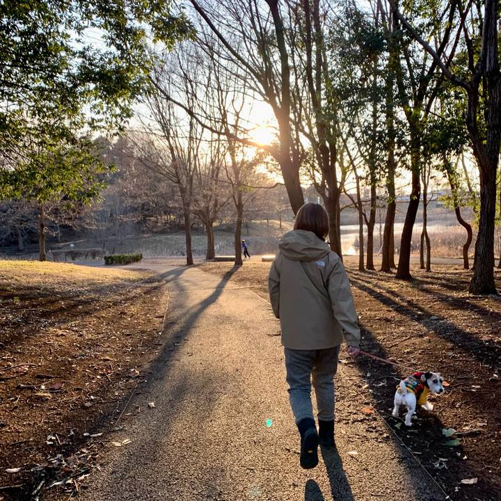 D1a95337 09dc 40a7 a2cd b7d74a9abaaa 1676124363484