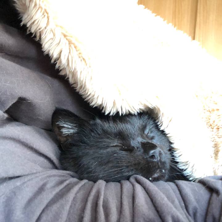 D1a95617 6c75 4a2b 8a40 f0de6f214f0f 1605335391262