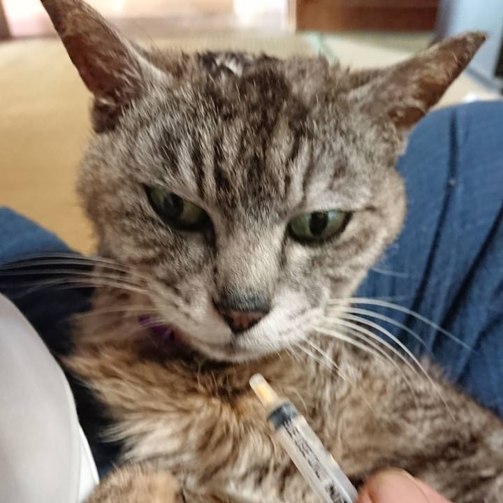 D1a9831d 2b7a 47d7 9915 0de61c304ab0 1594514569321