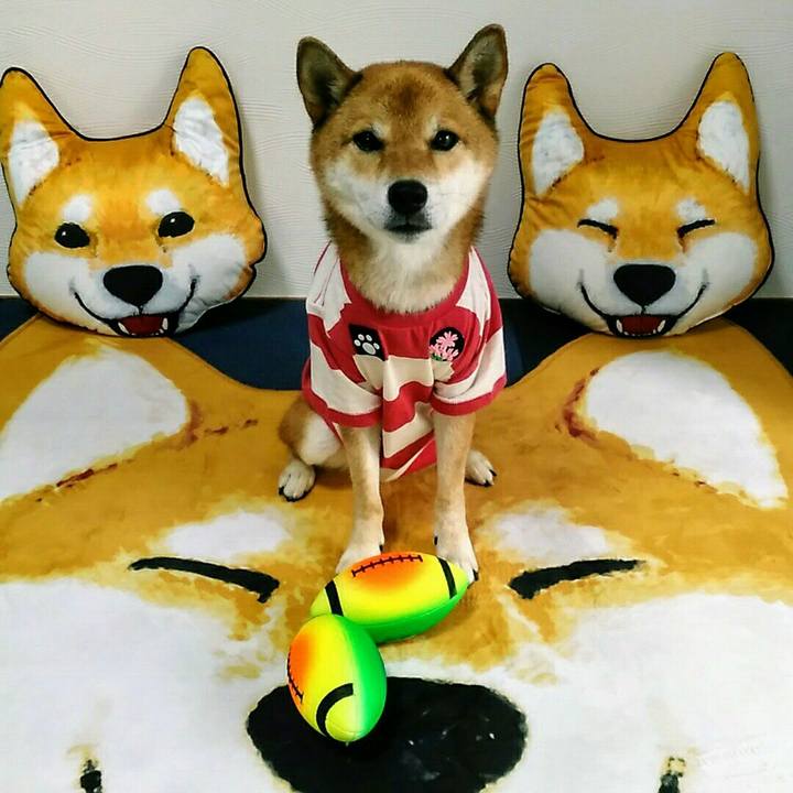 D1a99841 46c7 4dae b322 e3c14503eadd 1567763015982