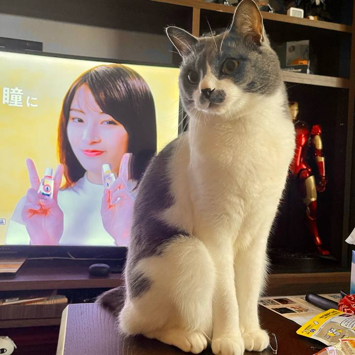 D1a9b5ad ef19 4aa9 94fc d8afc9464ce6 1665124401023