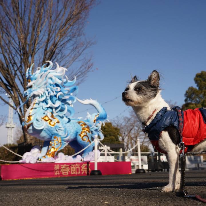 D1aa5764 3f1d 4a8d 8d57 0efa4547d4e7 1738155121178