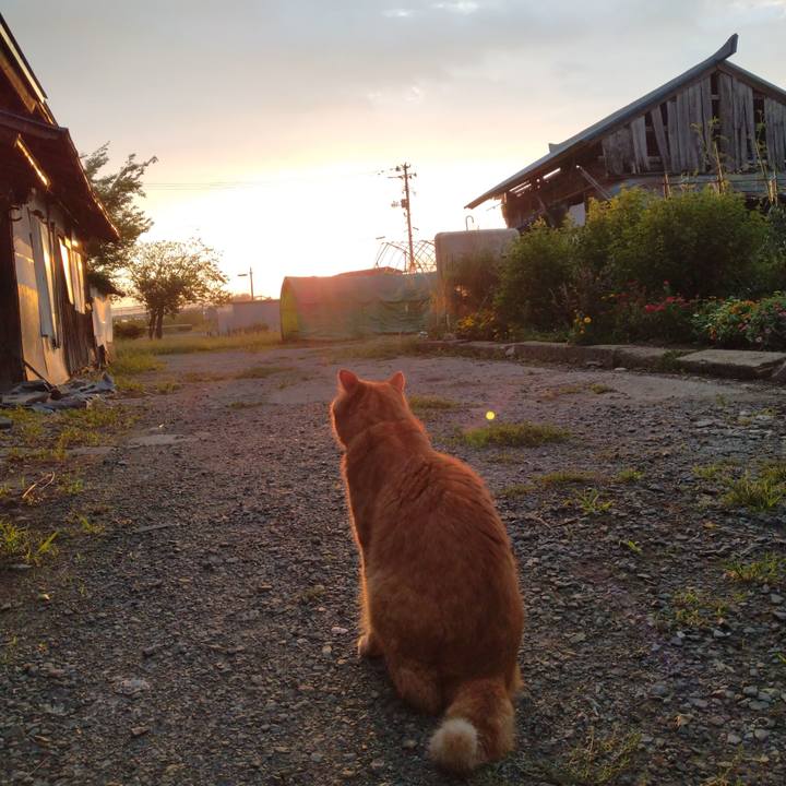 D1aa59ef 8fbb 4581 91fd f71a124f21f7 1695075197934