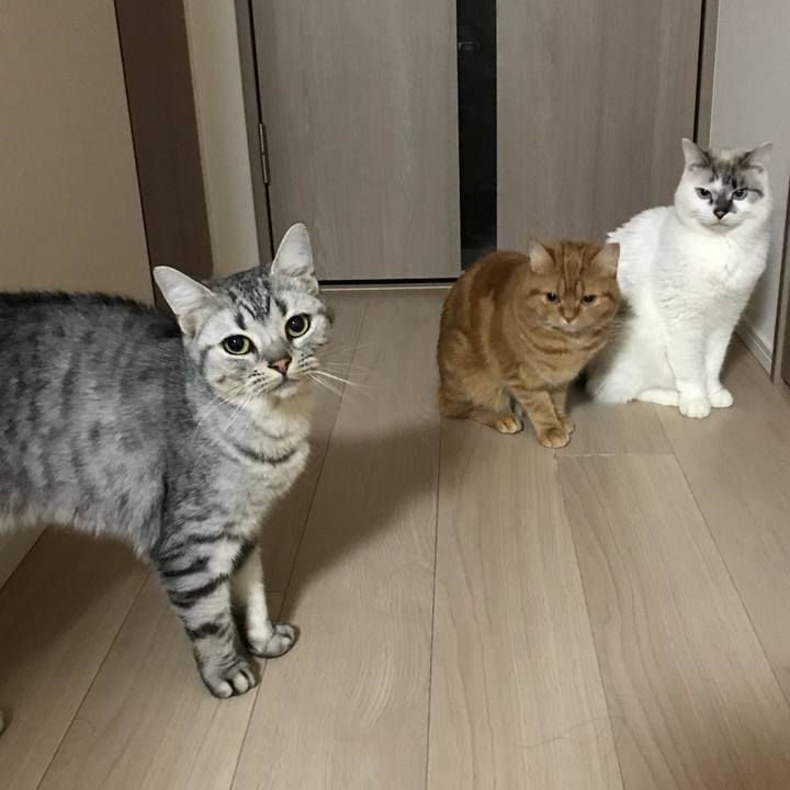 D1aa962f cd66 4a79 ae5a 15e136de5c74 1512994742941