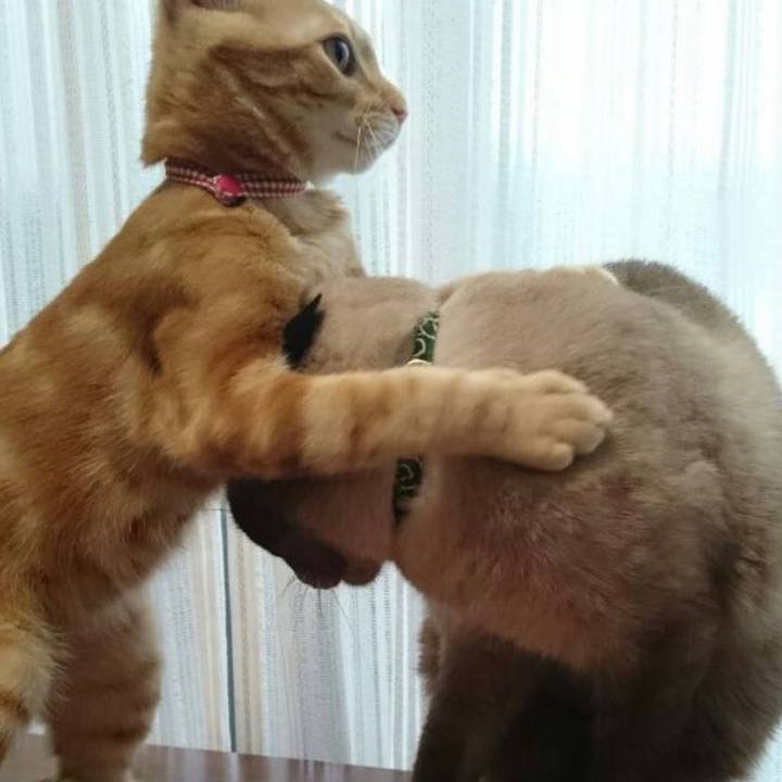 D1aaa5af 912e 4d98 b784 d77142f7c74f 1627096965228