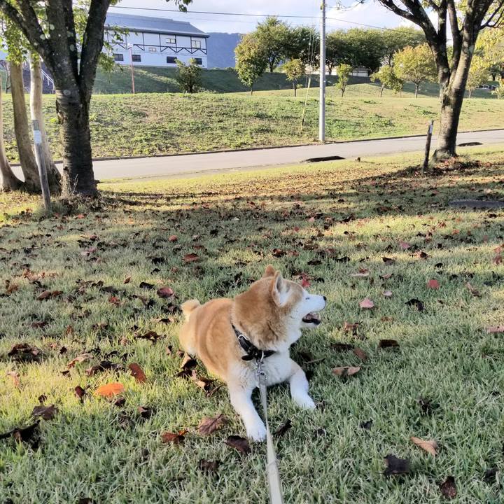 D1aaaa39 f0d7 4f3b a4e2 f66286d44086 1695969651414