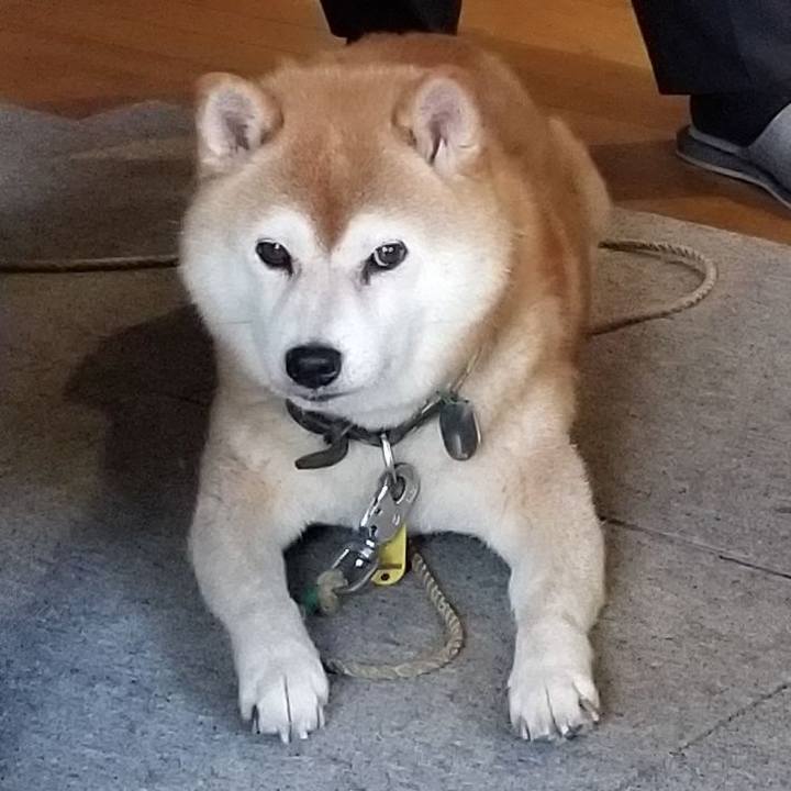 D1aab866 44e8 4b88 b0a9 1a82459815b2 1626434096533