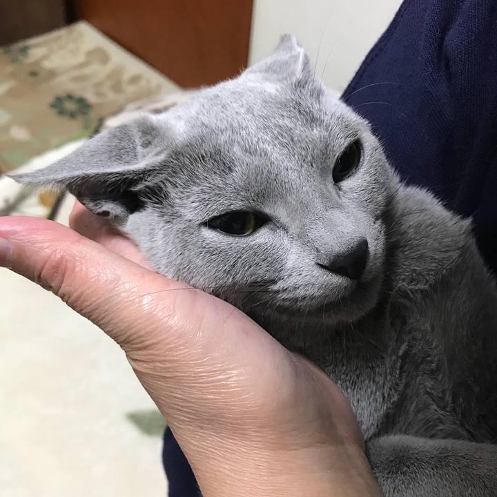 D1aadf94 e7e0 482e af06 294643ccfc0d 1510580310991