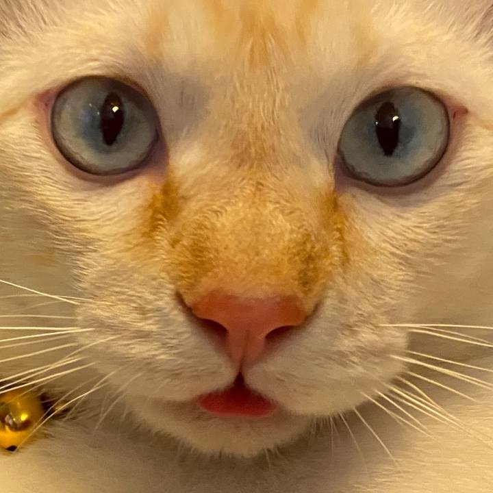 D1aae153 bda8 4a31 9240 2b3494b77988 1591686121449