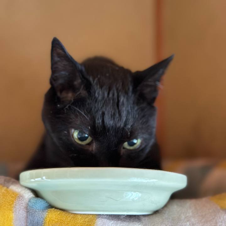 D1aaf07d 8175 49fc 822d 5c8f9a38c819 1688947639820