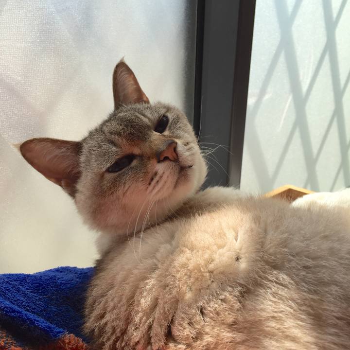 D1ab27e1 71eb 499c 8edc a9f410b6a07c 1523333606363