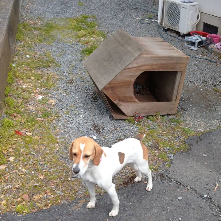 D1ab4a22 fa3a 4696 8fa6 ecb3175c1f23 1587196717098