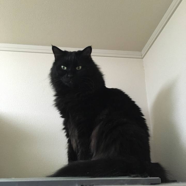 D1ab5fe8 06d8 40a0 a59a 4bb55585c5ea 1542625460940