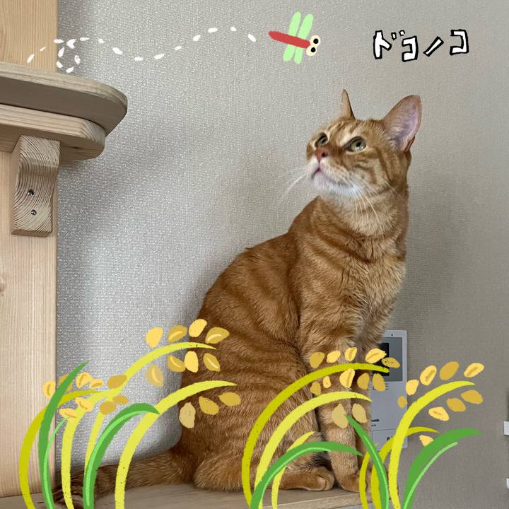 D1ab75c0 1f10 487e 957b 30f408eda11a 1761123968685