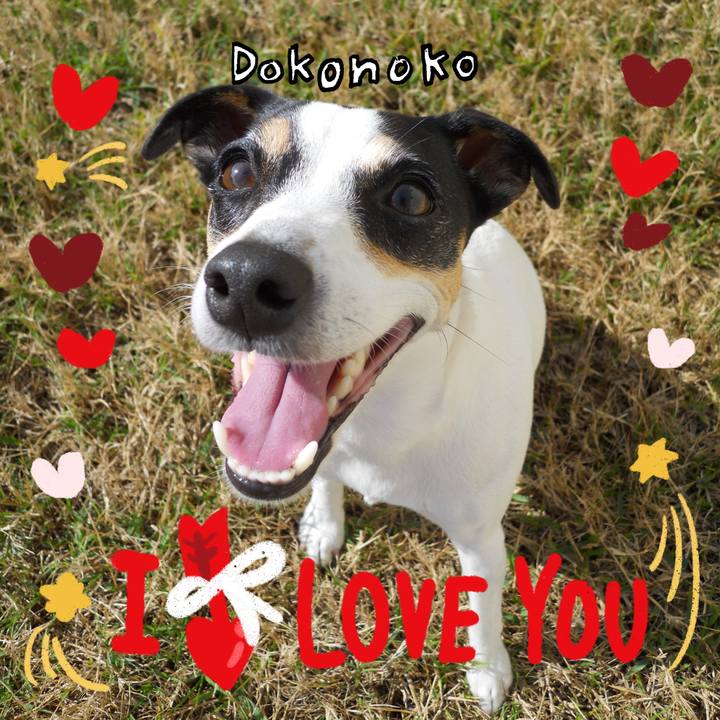 D1abad3b 92bb 4a70 b0d6 ff1da01b9023 1706825101642