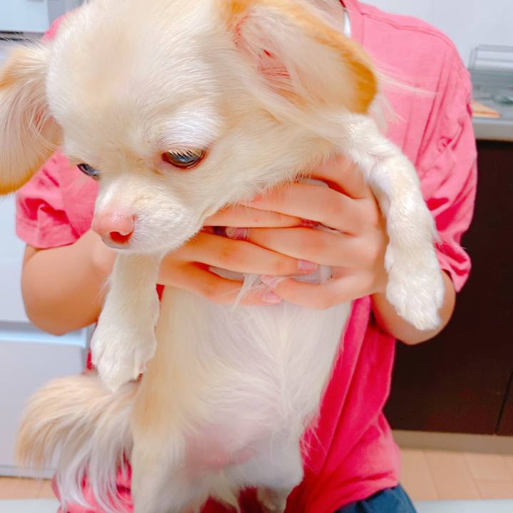 D1abb132 757f 4ea3 a7b9 f839bf9e3aed 1636853695289